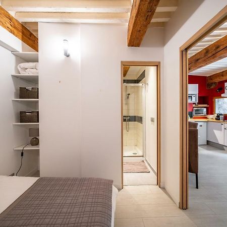 Secret Courtyard Of Annecy Apartment Luaran gambar